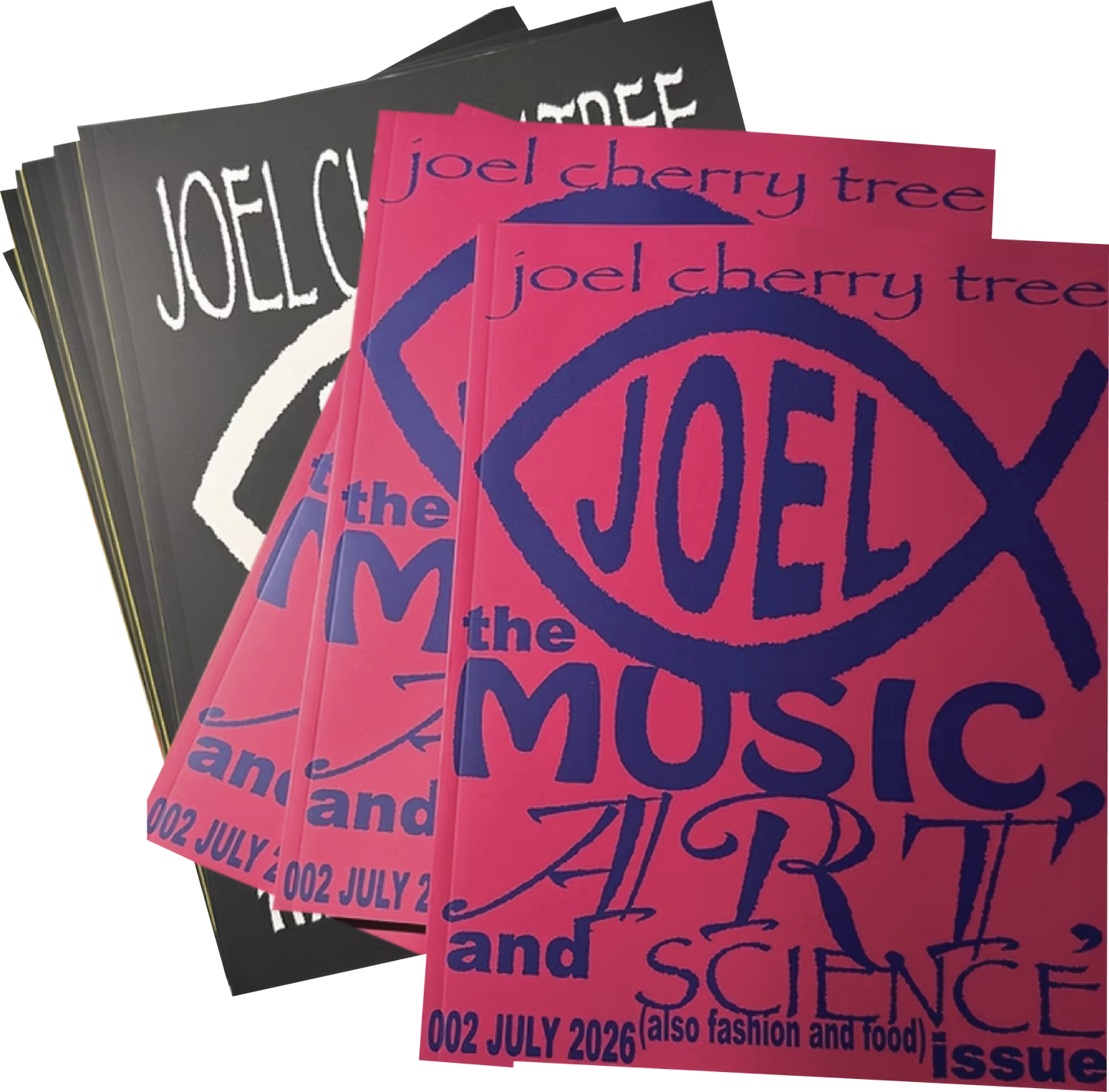 joel magazine